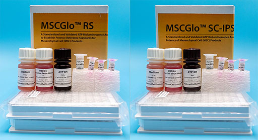 MSCGlo™ RS and MSCGlo™ SC-IPS: Standardized and validated assays to establish potency reference standards and measure the potency of mesenchymal cells